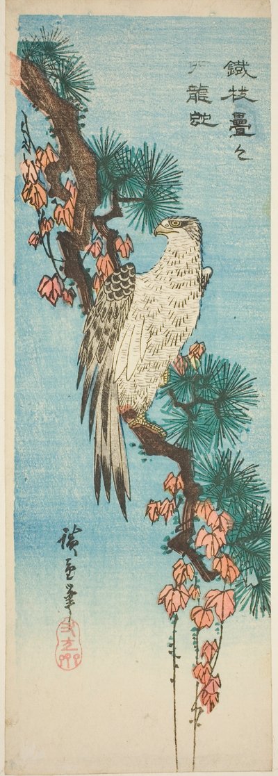 Falco su ramo di pino coperto di edera da Utagawa Hiroshige