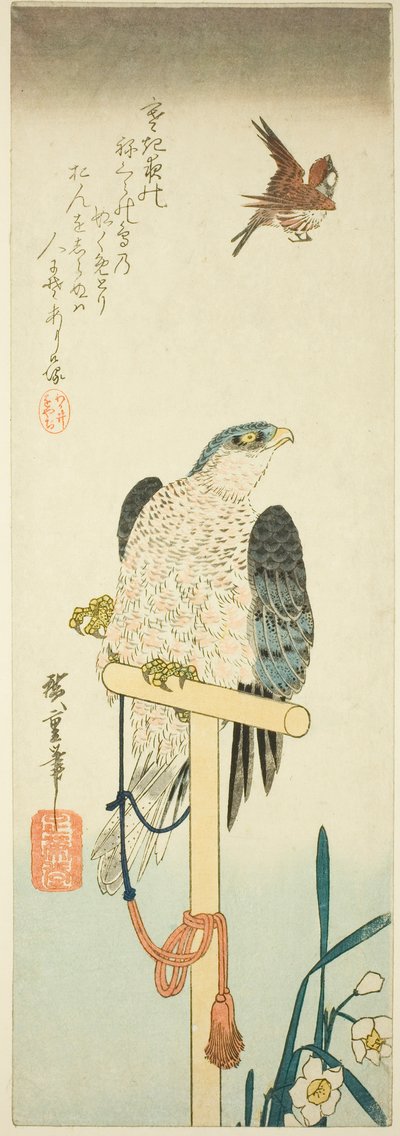 Falco, passero e narciso da Utagawa Hiroshige