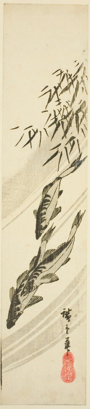 Pesci in un ruscello da Utagawa Hiroshige