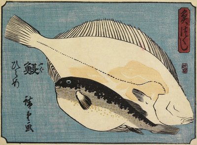 Pesce palla e passera, 1830-1844 da Utagawa Hiroshige