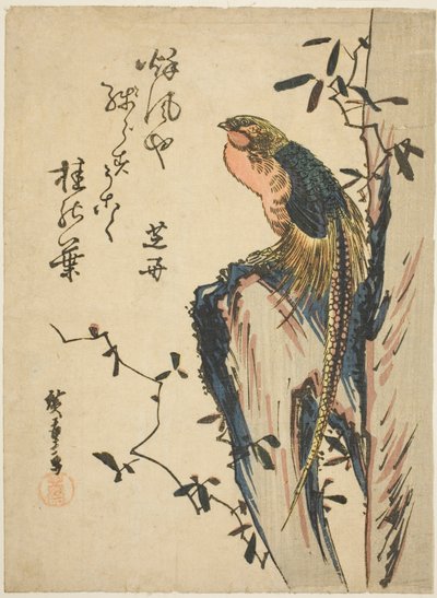 Fagiano dorato da Utagawa Hiroshige
