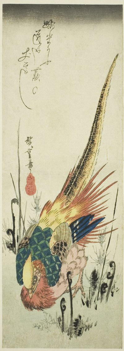 Fagiano Dorato e Felci da Utagawa Hiroshige