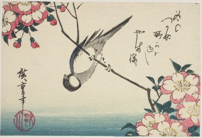Cinciallegra su ramo di ciliegio in fiore da Utagawa Hiroshige