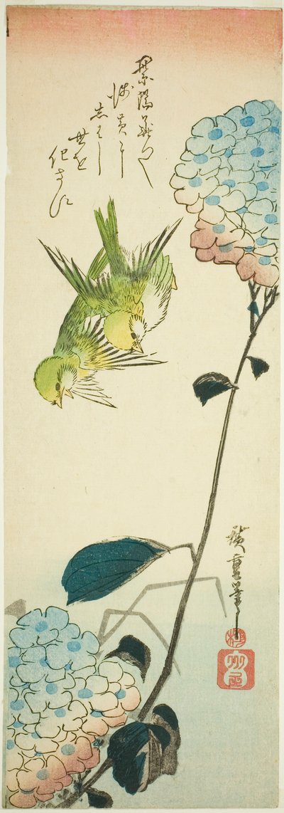 Uccelli verdi e ortensie da Utagawa Hiroshige