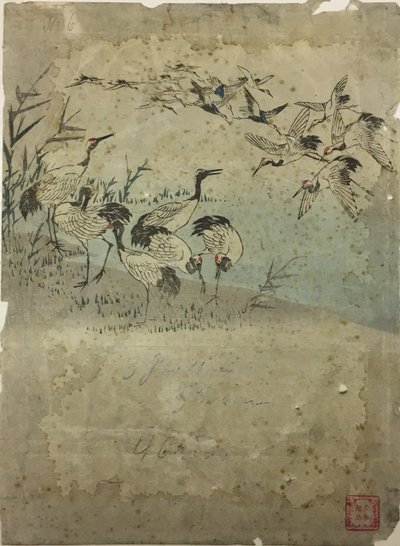 Aironi tra le erbe da Utagawa Hiroshige