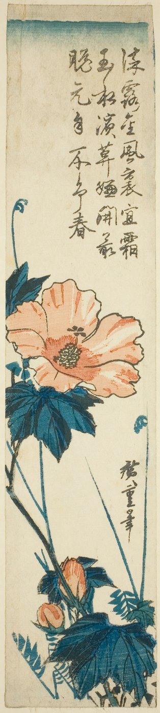 Ibisco da Utagawa Hiroshige