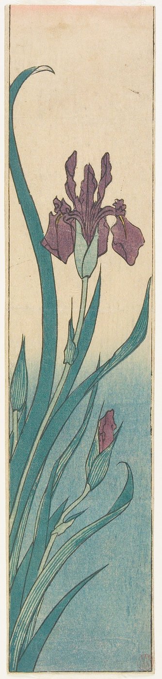 Iris da Utagawa Hiroshige