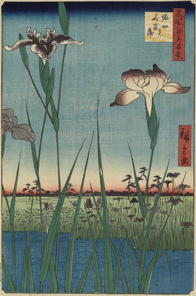 Giardino di iris a Horikiri, maggio 1857 da Utagawa Hiroshige