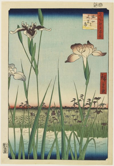 Giardino di iris a Horikiri, maggio 1857 da Utagawa Hiroshige