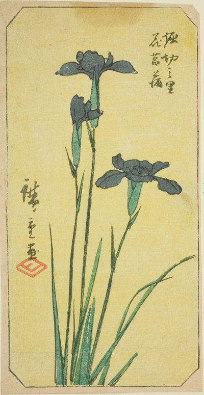 Iris al Villaggio di Horikiri (Horikiri no sato hanashobu), sezione di un foglio dalla serie "Immagini Ritagliate di Luoghi Famosi di Edo (Edo meisho harimaze zue)" da Utagawa Hiroshige