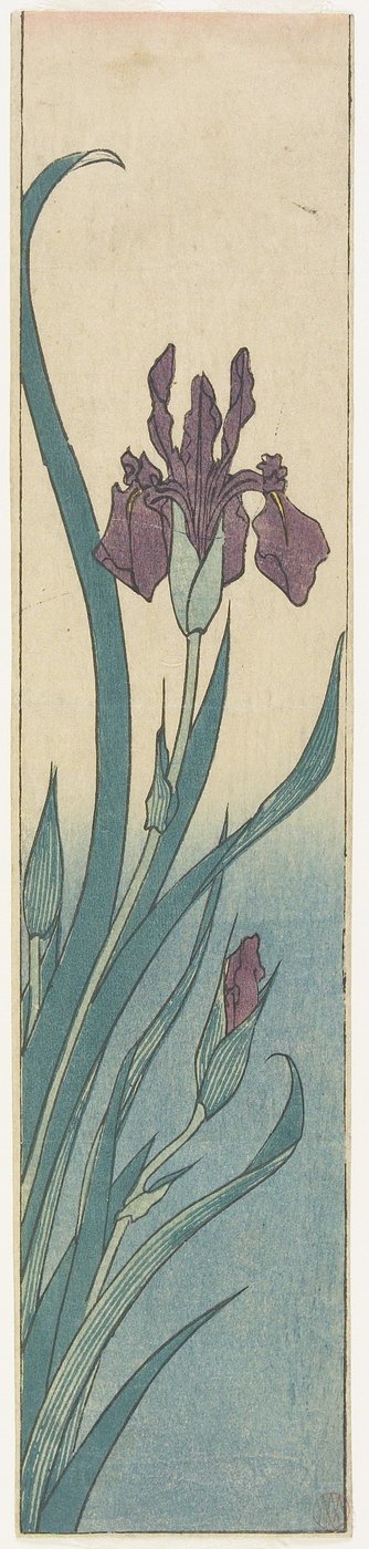 Iris, inizio XIX secolo da Utagawa Hiroshige