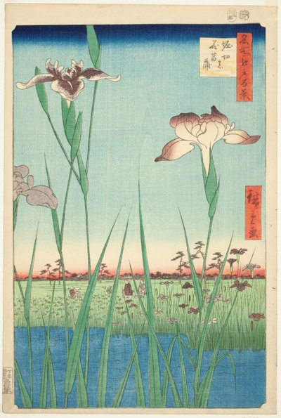 Iris a Horikiri (Horikiri no hanashobu), dalla serie "Cento vedute famose di Edo (Meisho Edo hyakkei)" da Utagawa Hiroshige