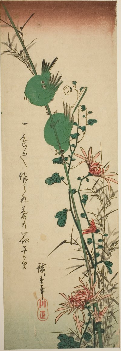 Occhi bianchi giapponesi e crisantemi da Utagawa Hiroshige