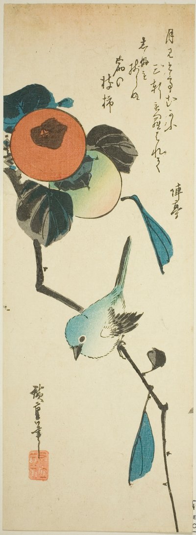 Occhio bianco giapponese e cachi da Utagawa Hiroshige
