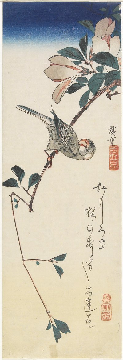 Passero di Giava e magnolia, 1834-1839 da Utagawa Hiroshige