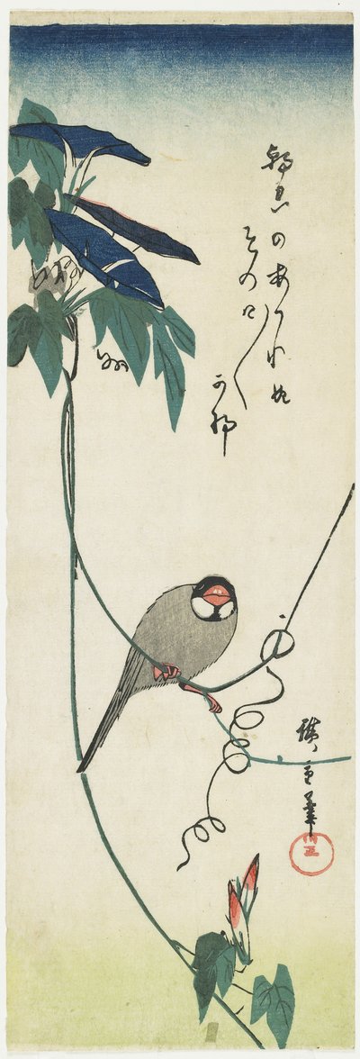 Passero di Giava e glorie del mattino, 1834-1839 da Utagawa Hiroshige