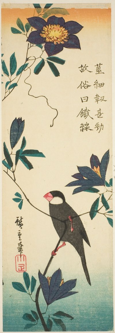 Passero di Giava e clematide da Utagawa Hiroshige