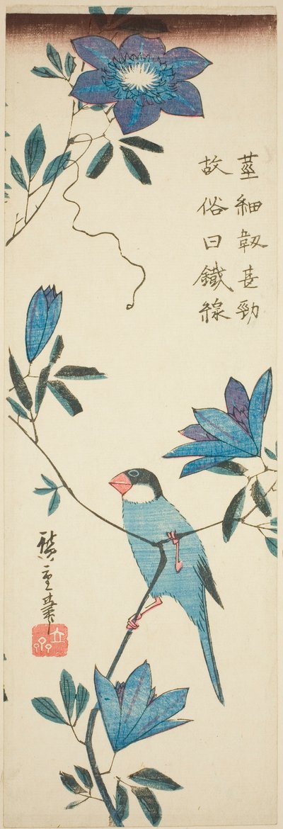 Passero di Giava e clematide da Utagawa Hiroshige