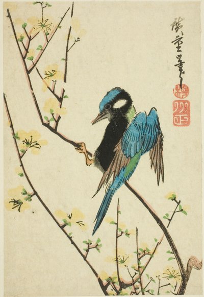 Passero di Giava su ramo di ciliegio da Utagawa Hiroshige