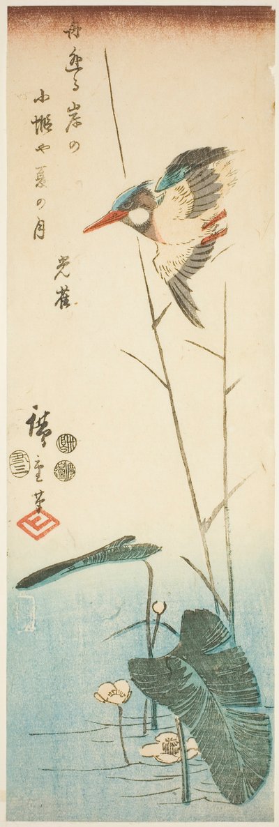 Martin pescatore sopra una pianta acquatica a fiori gialli da Utagawa Hiroshige