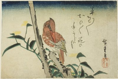 Martin pescatore e fiore di giorno da Utagawa Hiroshige