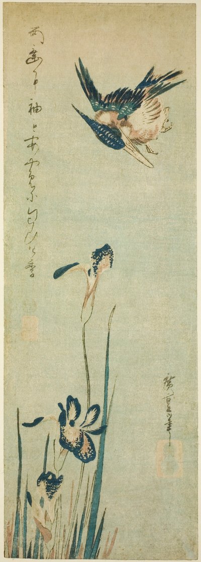 Martin pescatore e iris da Utagawa Hiroshige