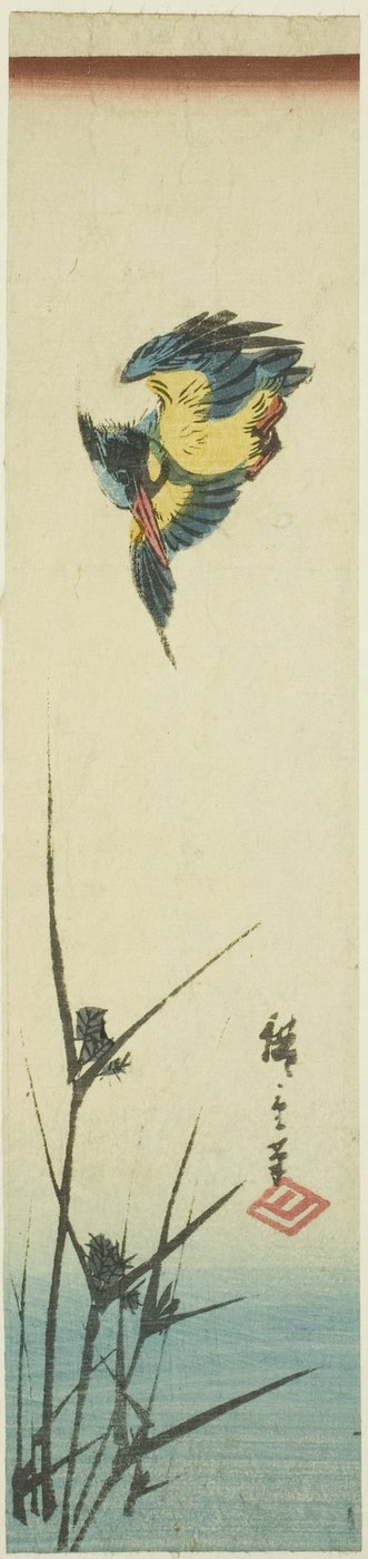 Martin pescatore e canne da Utagawa Hiroshige