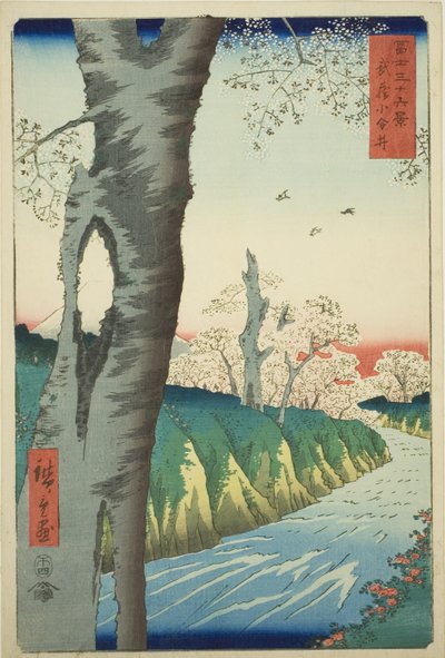 Koganei nella provincia di Musashi (Musashi Koganei), dalla serie "Trentasei vedute del Monte Fuji (Fuji sanjurokkei)" da Utagawa Hiroshige
