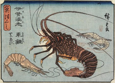 Aragosta, Gambero e Gamberetti, 1830-1844 da Utagawa Hiroshige