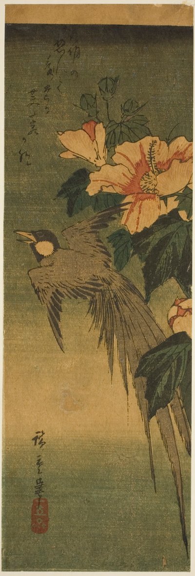 Uccello dalla Coda Lunga e Ibisco da Utagawa Hiroshige