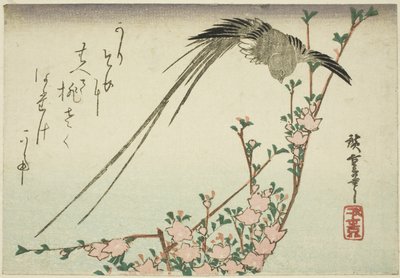 Uccello dalla lunga coda e fiori di pesco da Utagawa Hiroshige