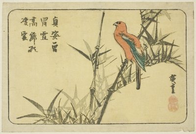 Ara e bambù da Utagawa Hiroshige