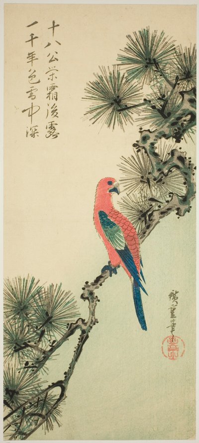 Ara su un ramo di pino da Utagawa Hiroshige