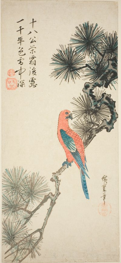 Ara su un Ramo di Pino da Utagawa Hiroshige