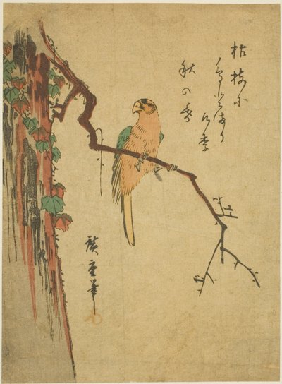 Ara su un albero coperto di edera da Utagawa Hiroshige