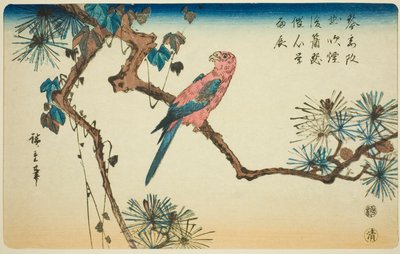 Ara su ramo di pino da Utagawa Hiroshige