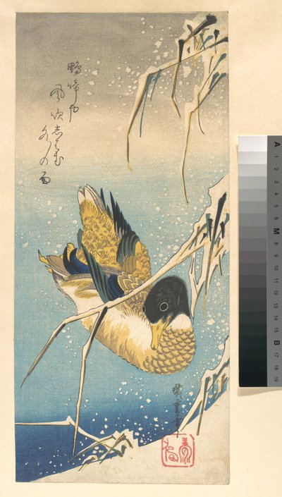 Stockente und schneebedeckte Schilfrohre da Utagawa Hiroshige