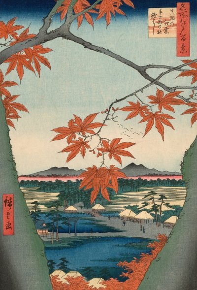 Alberi d