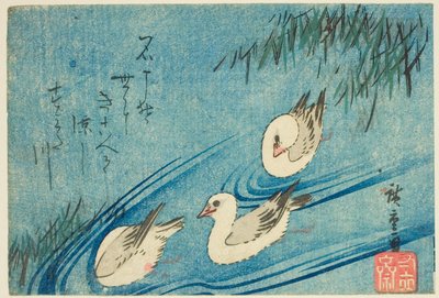 Beccacce di mare da Utagawa Hiroshige