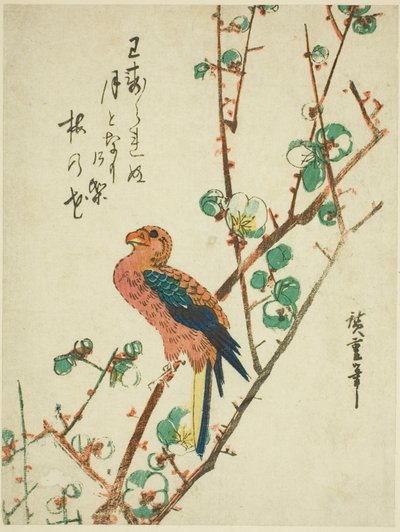Pappagallo su albero di prugne da Utagawa Hiroshige