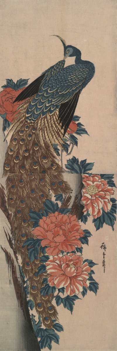 Pavone e peonie da Utagawa Hiroshige