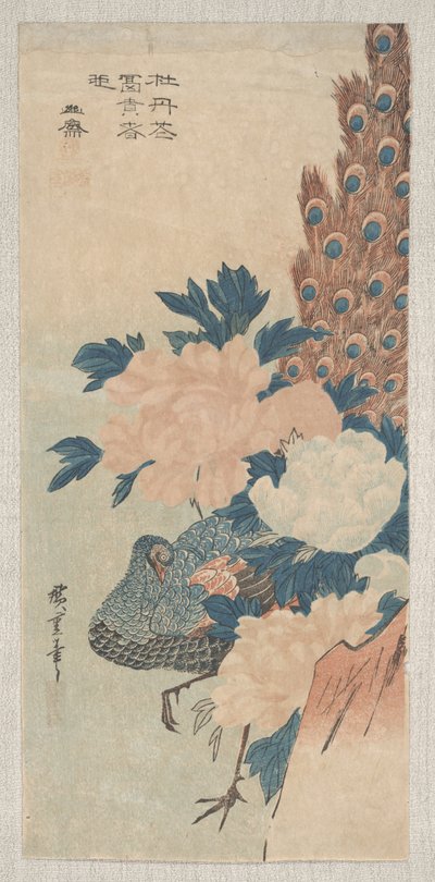 Pavone e peonie, c.1830 da Utagawa Hiroshige