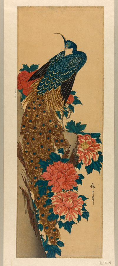 Pavone e Peonie da Utagawa Hiroshige