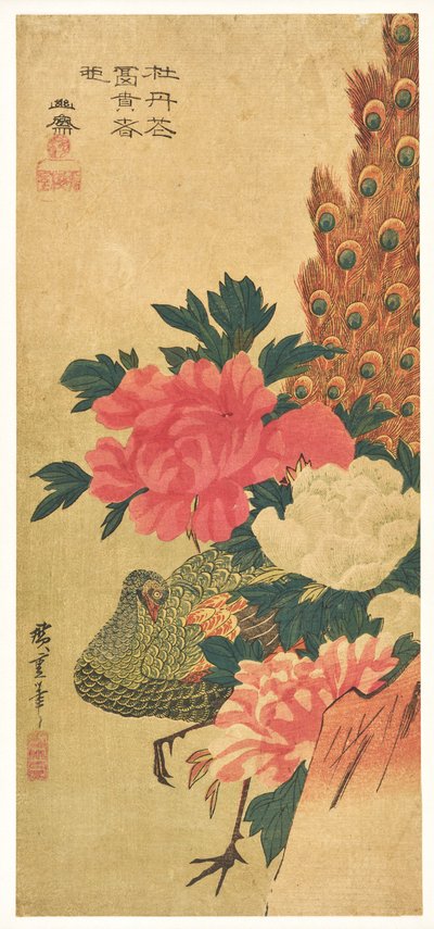 Peonie e pavone da Utagawa Hiroshige