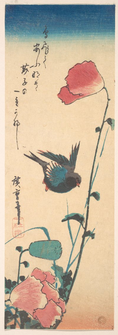 Mohn und Spatz da Utagawa Hiroshige