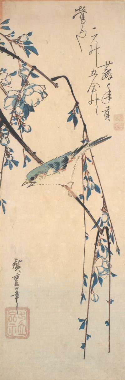 Codirosso su un ramo di ciliegio da Utagawa Hiroshige