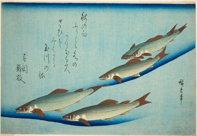 Trota di fiume da Utagawa Hiroshige