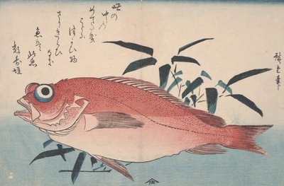 Orata e erba di bambù, 1840 da Utagawa Hiroshige