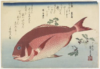 Orata e rametti di sansho, c. 1832 da Utagawa Hiroshige
