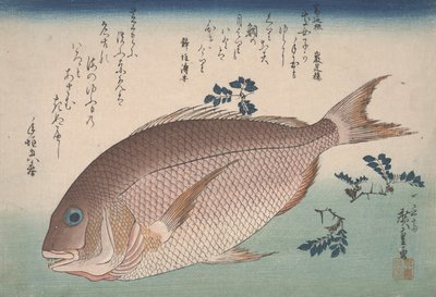 Orata e pepe sansho da Utagawa Hiroshige